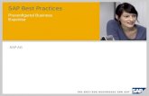 SAP Best Practices Overview En