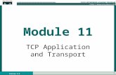 Tcp Ip Applications and Transport
