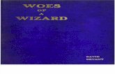 Woes of a Wizard Text Based