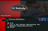 CA Testicular (1)
