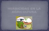 HERBICIDAS EN LA AGRICULTURA.pptx
