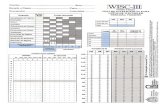 Protocolo WISC 3.pdf