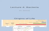 Lecture 4 Bacteria (1)