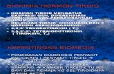Biokimia Hormon Tiroid
