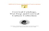 CSC Cytology