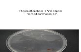 Laboratorio Calculo Eficiencia Transformacion_analisis resultados transformacion.pdf