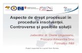Aspecte de Drept Procesual in Procedura Insolventei - Jud. Diana Ungureanu&Procuror Alexandra Sinc