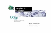 IGEM Synthetic Biology