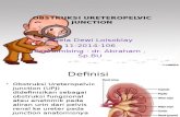 Obstruksi Ureteropelvic Junction - Copy