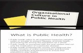 Matrikulasi S2 IKM 2014 - Organizational Culture in Public Health