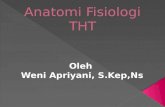 246956789 Anatomi Fisiologi THT New