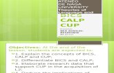 Bics and Calp Cup Report