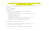 58519298 Plan de Marketing Coctel Mamorteado