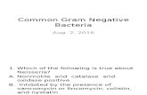 Common Gram Negative Bacteria