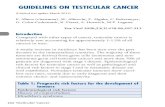 10 Testicular Cancer-1