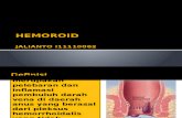 DT Hemoroid