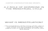 4.2 Role of Hormone in Menstruation Cycle