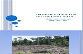 Dampak Degradasi Hutan Dan Lahan