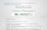 PPT STUDY ON NPA OF PRIORITY SECTION