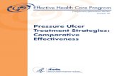 Pressure Ulcer Treatment Report 130508