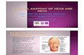 Surgical Anatomy of Head & Neck