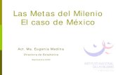 Metas Mexico