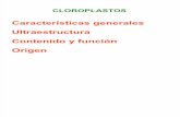 Plastidios (cloroplastos)