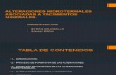 exp1-141ALTERACIONES HIDROTERMALES ASOCIADAS A YACIMIENTOS MINERALES. 218104506-conversion-gate02