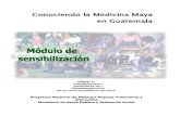 Conociendo La Medicina Tradicional en Guatemala