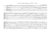 Bach-bwv230 Lobet Den Herrn (B Major)