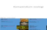 Kompendium zoologi