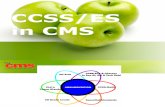 CCSS ES in CMS