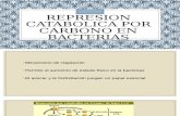 Represion Catabolica Por Carbono en Bacterias
