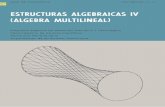 Estructuras algebraicas 4, algebra multilineal