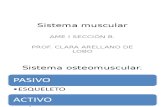 Sistema muscular 2003.ppt