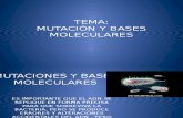Mutaciones y Bases Moleculares Teoria