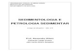UHLEIN Apostila de Sedimentologia e Petrologia Sedimentar - V2