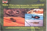 93670588-123-Norma-Tecnica-peruanaPONZONOSOS 2x hoja.pdf