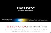 TV-LED_Sony_KDL32EX421_Training manual.pdf