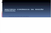 87912885 Anatomia Cirurgica Da Regiao Cervical2006para Alunos