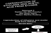 Coproduction of Ethylene and Acetic Acid From Ethane