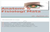 02 Anatomi & Fisiologi Mata