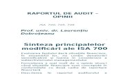 Raport audit power point