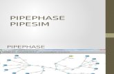 Pipephase y Pipesim