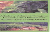 20061024152517_Arboles y arbustos  forrajeros alimentacion animal.pdf