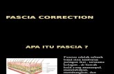 Fascia Correction