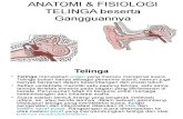 Anatomi & Fisiologi Telinga Beserta Gangguannya (Ucup)