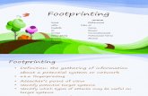 Footprinting Project