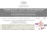 Fiebre Virus Chikungunya