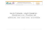 Guia Uso Info Mex
